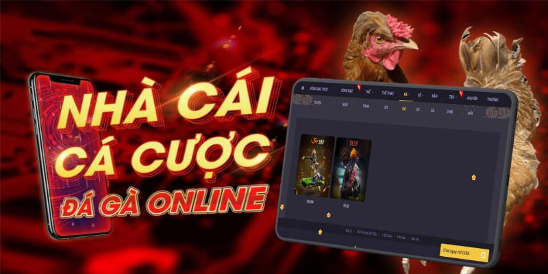 Anh em nên áp dụng các mẹo chơi đá gà tại 78WIN để giành thưởng